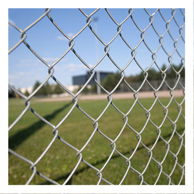 75mm Chain Link Mesh Anggar Hot Dipped Galvanized Pvc Coated