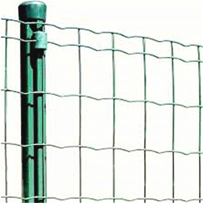 produk jual panas lebih murah Holland Welded Wire Mesh Fence / pagar Euro