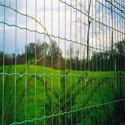 TLWY PVC Coated Welded Mesh Anggar 9.0mm Holland Fence