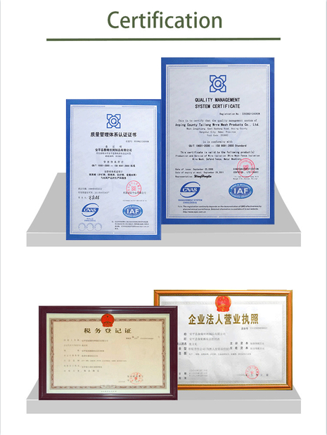 Cina Anping Tailong Wire Mesh Products Co., Ltd. Sertifikasi
