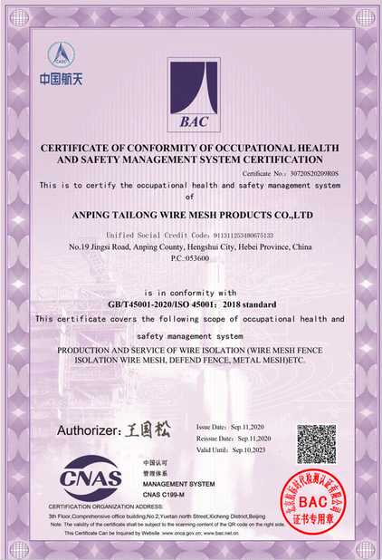 Cina Anping Tailong Wire Mesh Products Co., Ltd. Sertifikasi