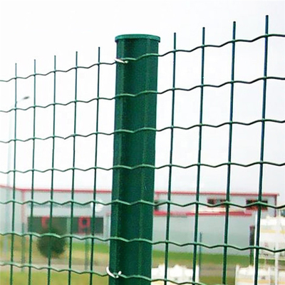 ISO9001 PVC Coated Holland Wire Mesh Fence Netting Tinggi 60cm-200cm Jenis Euro